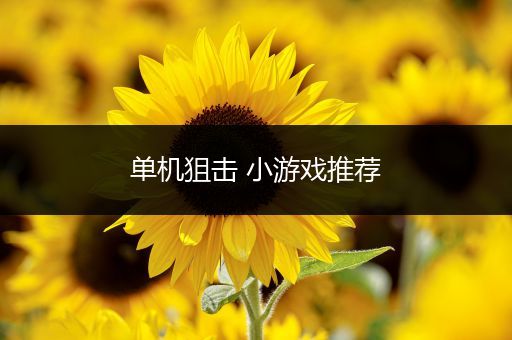 单机狙击 小游戏推荐