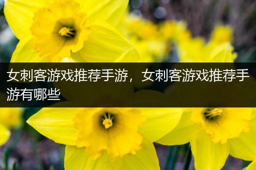 女刺客游戏推荐手游，女刺客游戏推荐手游有哪些