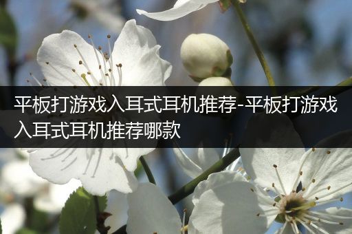 平板打游戏入耳式耳机推荐-平板打游戏入耳式耳机推荐哪款