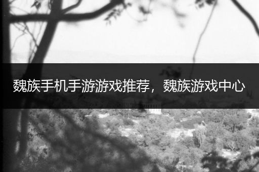 魏族手机手游游戏推荐，魏族游戏中心