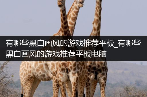 有哪些黑白画风的游戏推荐平板_有哪些黑白画风的游戏推荐平板电脑