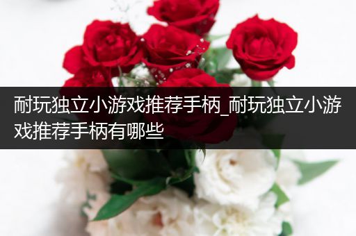 耐玩独立小游戏推荐手柄_耐玩独立小游戏推荐手柄有哪些
