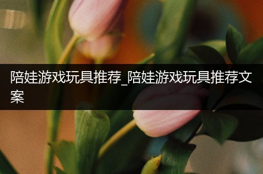陪娃游戏玩具推荐_陪娃游戏玩具推荐文案