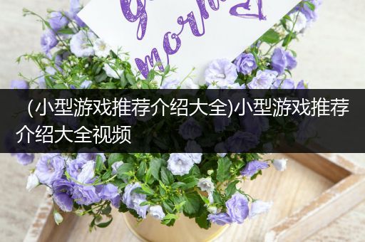 （小型游戏推荐介绍大全)小型游戏推荐介绍大全视频