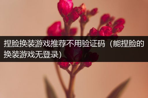 捏脸换装游戏推荐不用验证码（能捏脸的换装游戏无登录）