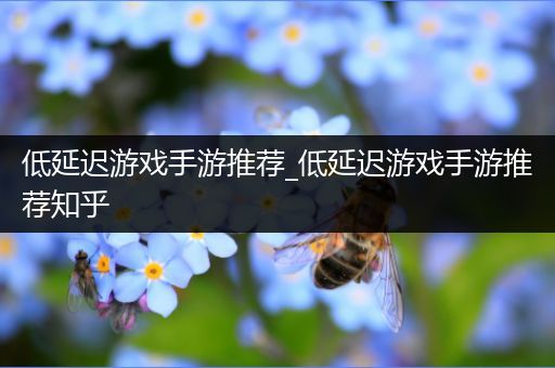低延迟游戏手游推荐_低延迟游戏手游推荐知乎