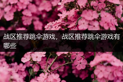 战区推荐跳伞游戏，战区推荐跳伞游戏有哪些