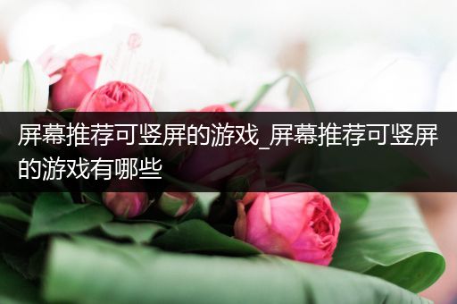 屏幕推荐可竖屏的游戏_屏幕推荐可竖屏的游戏有哪些