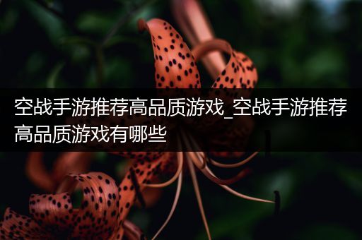空战手游推荐高品质游戏_空战手游推荐高品质游戏有哪些