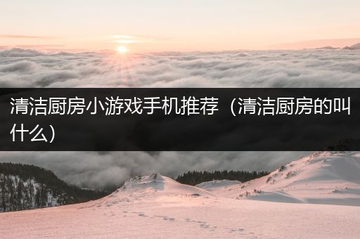 清洁厨房小游戏手机推荐（清洁厨房的叫什么）