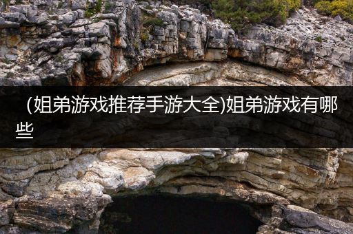 （姐弟游戏推荐手游大全)姐弟游戏有哪些