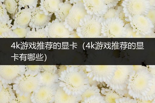 4k游戏推荐的显卡（4k游戏推荐的显卡有哪些）