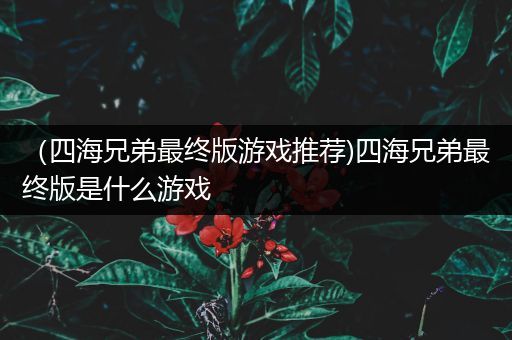 （四海兄弟最终版游戏推荐)四海兄弟最终版是什么游戏