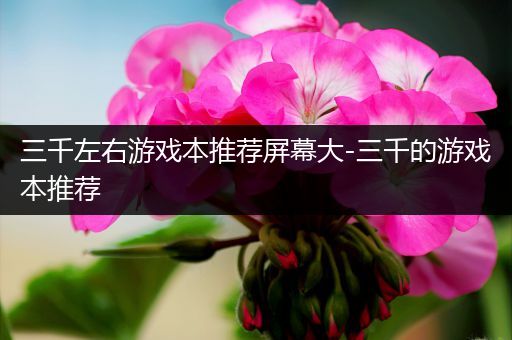 三千左右游戏本推荐屏幕大-三千的游戏本推荐