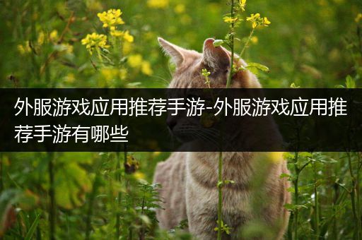外服游戏应用推荐手游-外服游戏应用推荐手游有哪些