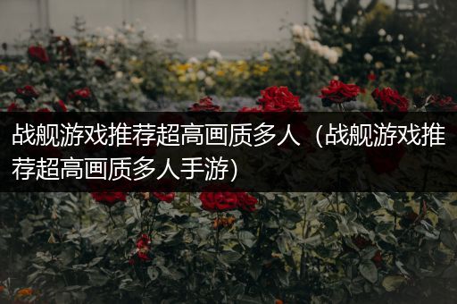 战舰游戏推荐超高画质多人（战舰游戏推荐超高画质多人手游）