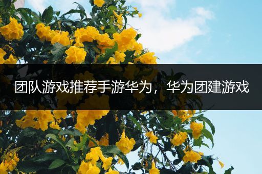 团队游戏推荐手游华为，华为团建游戏