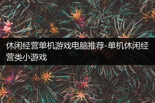 休闲经营单机游戏电脑推荐-单机休闲经营类小游戏
