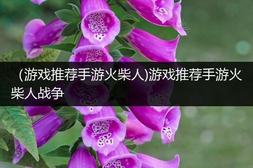 （游戏推荐手游火柴人)游戏推荐手游火柴人战争