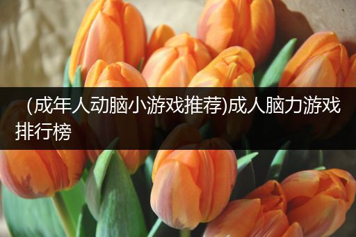 （成年人动脑小游戏推荐)成人脑力游戏排行榜