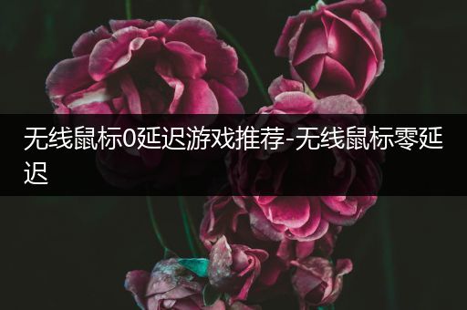 无线鼠标0延迟游戏推荐-无线鼠标零延迟
