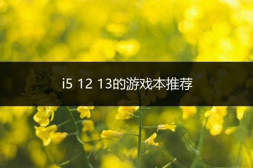 i5 12 13的游戏本推荐