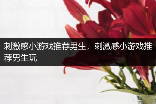 刺激感小游戏推荐男生，刺激感小游戏推荐男生玩