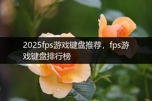 2025fps游戏键盘推荐，fps游戏键盘排行榜