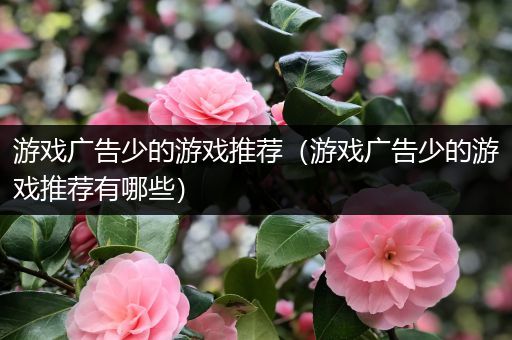 游戏广告少的游戏推荐（游戏广告少的游戏推荐有哪些）