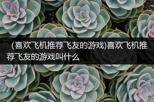 （喜欢飞机推荐飞友的游戏)喜欢飞机推荐飞友的游戏叫什么