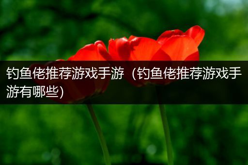 钓鱼佬推荐游戏手游（钓鱼佬推荐游戏手游有哪些）
