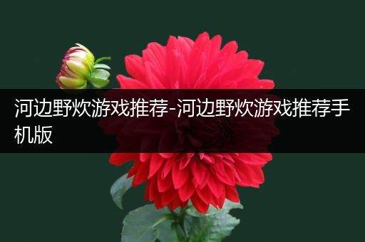 河边野炊游戏推荐-河边野炊游戏推荐手机版