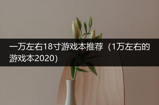 一万左右18寸游戏本推荐（1万左右的游戏本2020）