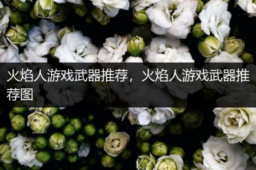 火焰人游戏武器推荐，火焰人游戏武器推荐图