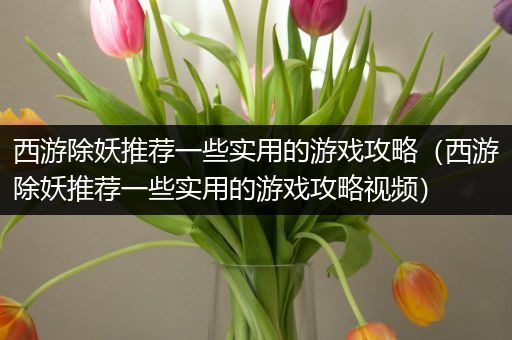 西游除妖推荐一些实用的游戏攻略（西游除妖推荐一些实用的游戏攻略视频）