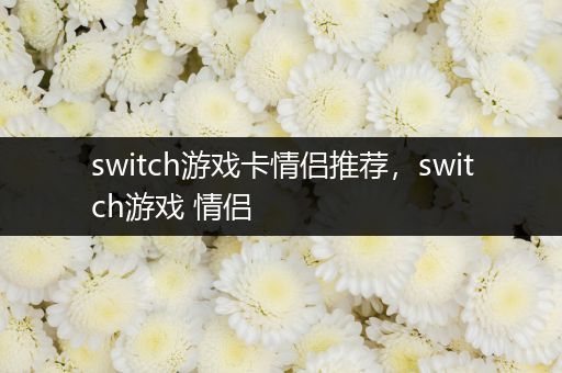 switch游戏卡情侣推荐，switch游戏 情侣