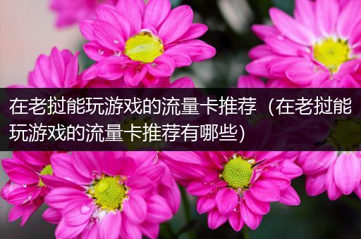 在老挝能玩游戏的流量卡推荐（在老挝能玩游戏的流量卡推荐有哪些）