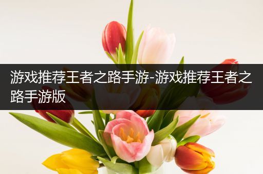 游戏推荐王者之路手游-游戏推荐王者之路手游版