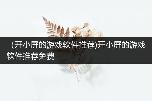 （开小屏的游戏软件推荐)开小屏的游戏软件推荐免费
