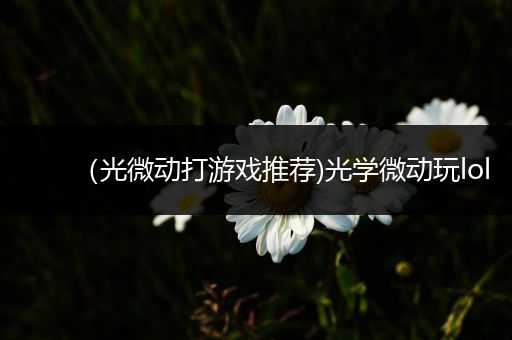 （光微动打游戏推荐)光学微动玩lol