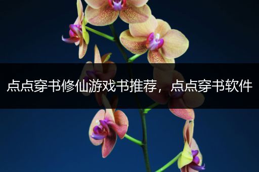 点点穿书修仙游戏书推荐，点点穿书软件