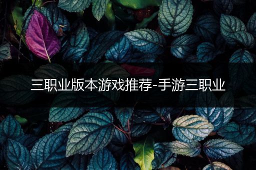 三职业版本游戏推荐-手游三职业