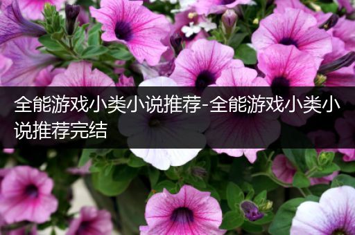 全能游戏小类小说推荐-全能游戏小类小说推荐完结