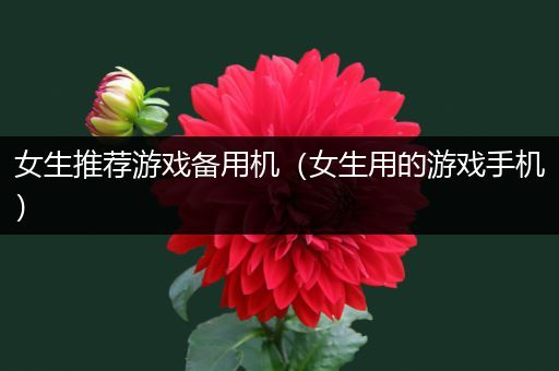 女生推荐游戏备用机（女生用的游戏手机）