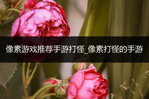 像素游戏推荐手游打怪_像素打怪的手游