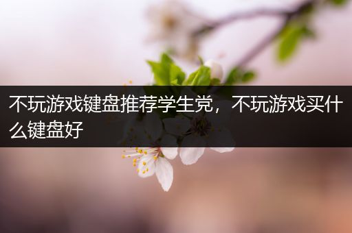 不玩游戏键盘推荐学生党，不玩游戏买什么键盘好