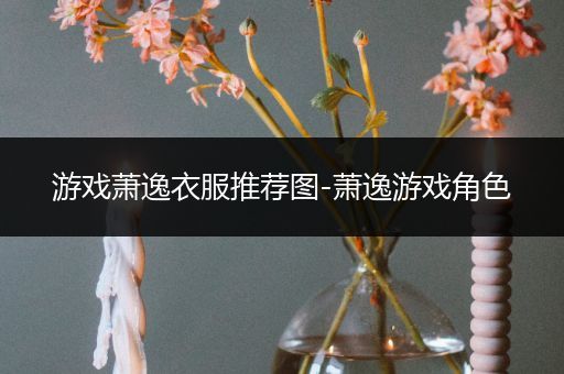 游戏萧逸衣服推荐图-萧逸游戏角色