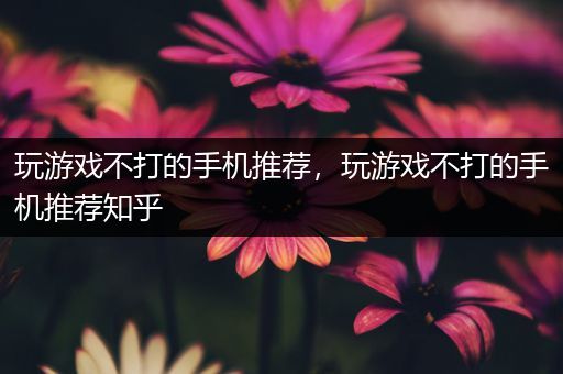 玩游戏不打的手机推荐，玩游戏不打的手机推荐知乎