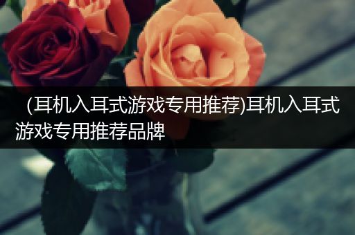 （耳机入耳式游戏专用推荐)耳机入耳式游戏专用推荐品牌