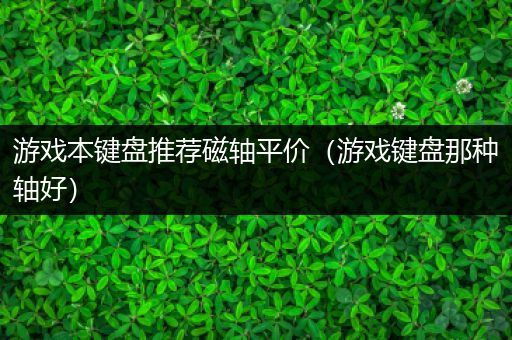 游戏本键盘推荐磁轴平价（游戏键盘那种轴好）